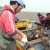 Bucalemu pescadores