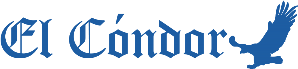 Diario El Cóndor