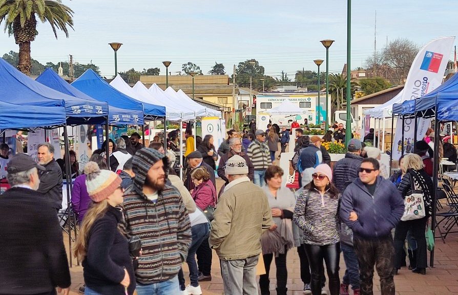 Gran jornada de Gobierno en Terreno se vivió en Pichilemu