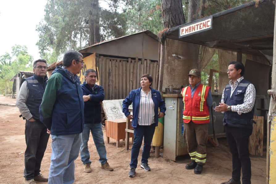 Día del Brigadista Forestal: Un homenaje a la valentía y el sacrificio